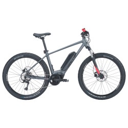 Bulls LT CX 29" - 2024